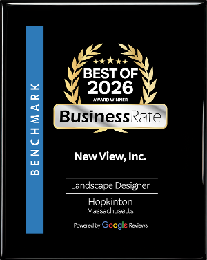 New View, Inc. Best of 2026_BusinessRate